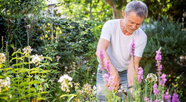 Gartenarbeit trotz Knieschmerzen