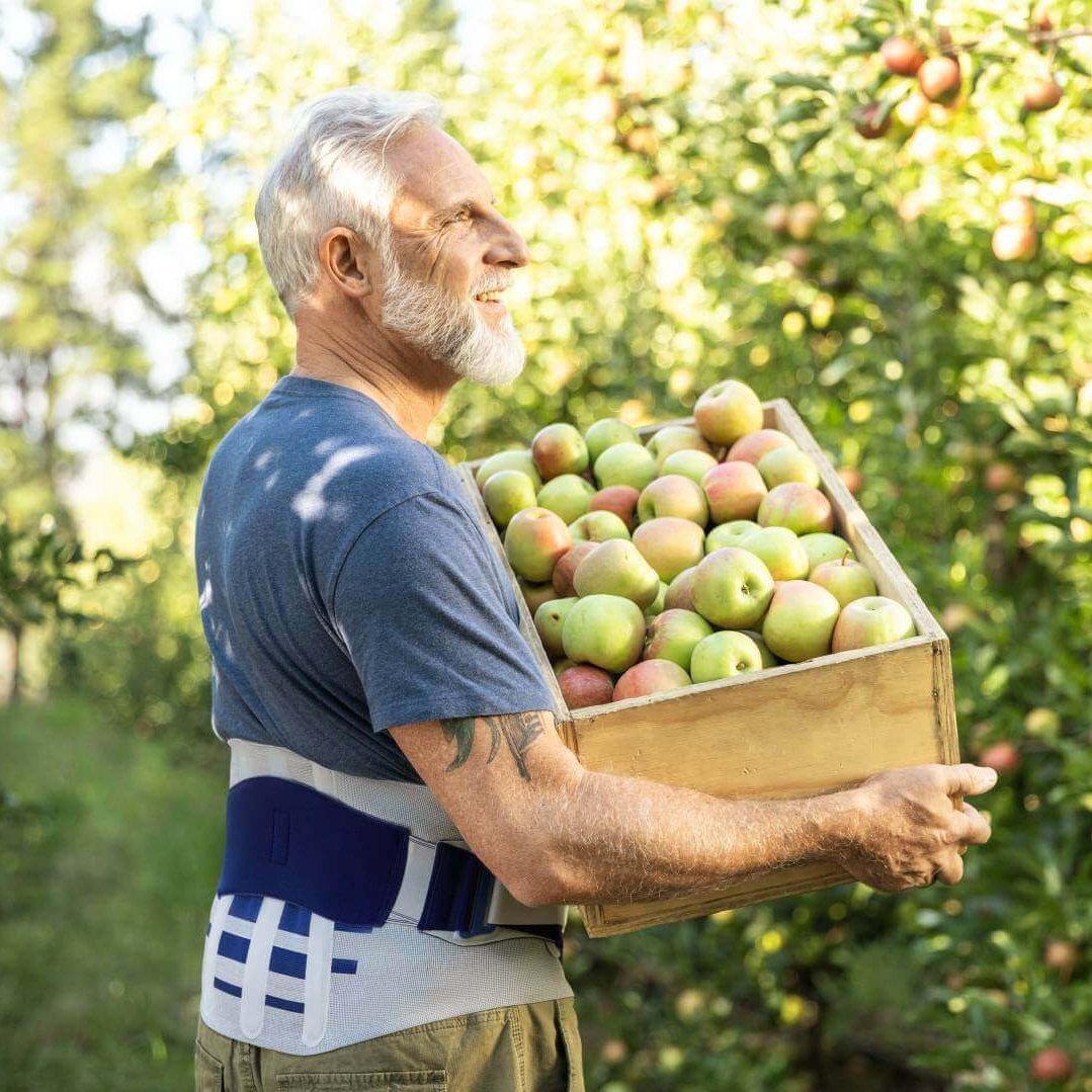 Ein älterer Mann trägt einen Obstkorb in einem Garten. Er trägt die LumboLoc Forte Rückenorthese von Bauerfeind.