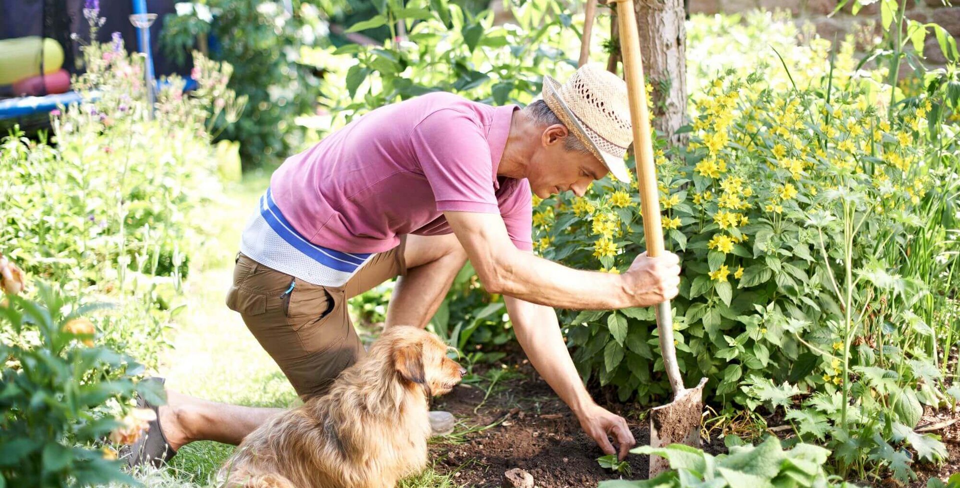 Ein Mann mit Hut hockt vor einem Beet in seinem Garten. In der rechten Hand hält er einen Spaten. Mit der linken Hand jätet er Unkraut in dem Beet. Ein Hund sitzt an der rechten Seite dicht neben ihm. Er trägt eine LumboTrain Rückenbandage von Bauerfeind, welche die Lendenwirbelsäule entlastet, stabilisiert und aktiviert.
